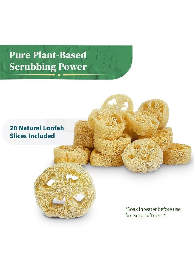 LooLife 100% Natural Loofah Slices for Soap Making (20 Pack) - Luffa Slices Cuts - Loofah Kit - Organic Soap Making Products - Loofah Sponge Natural - Loofah Soap - Hamster Chew Toys - Image 3
